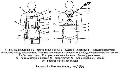 Пояс описание