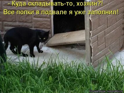 2 раза была разведена