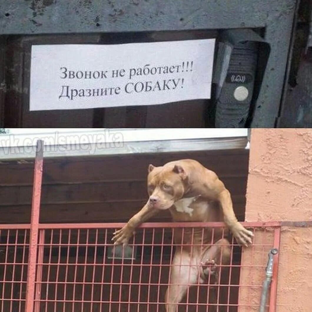 сейчас подожди телефон