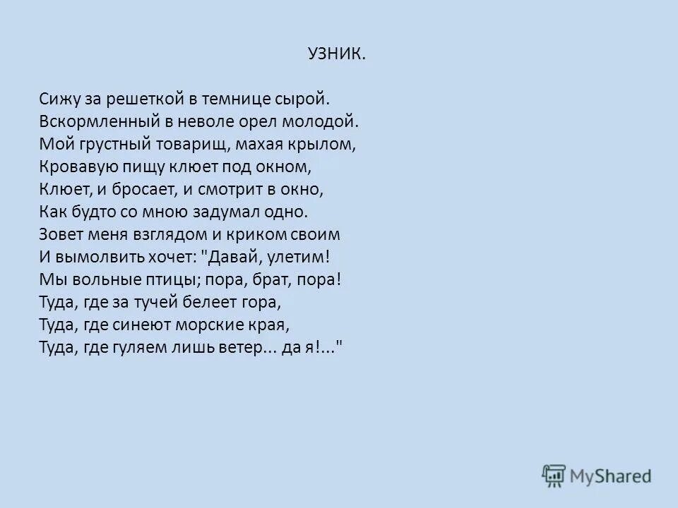 Сижу я в темнице орел молодой. Стихотворение сижу за решеткой. Пушкин орёл молодой стих. Орёл молодой стих Лермонтова. Стих мой грустный товарищ махая крылом кровавую пищу клюет под окном.