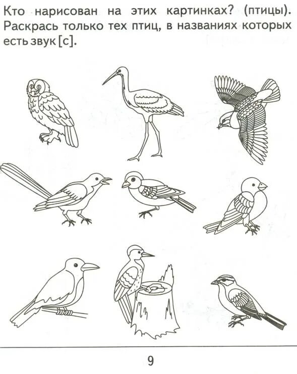 Задания про птиц. Задания для малышей зимующие и перелетные птицы. Задания для детей перелетные и зимующие птицы. Перелетные птицы логопедические задания. Зимующие птицы логопедические задания для дошкольников.