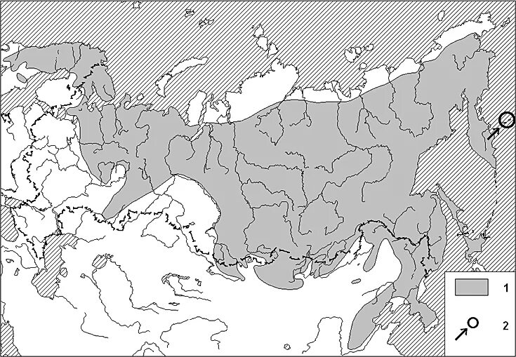 Ареал обитания летучих мышей в россии. Полевая мышь ареал. Ареал мышей. Ареал обитания рукокрылых. Ареал обитания летучих лисиц в австралии.