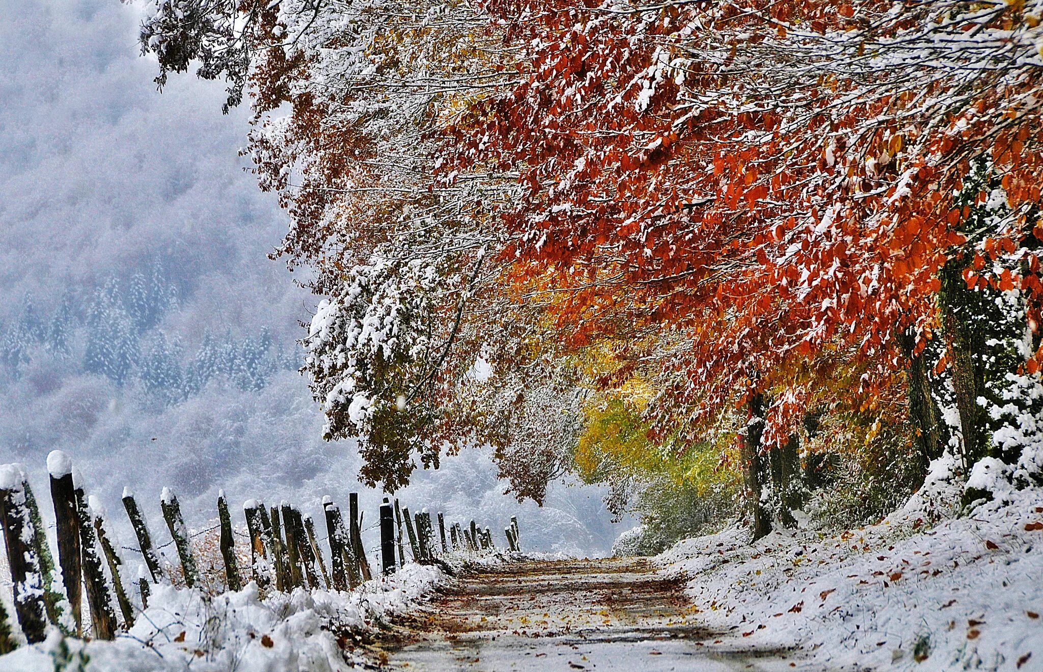 Ранняя зима. Поздняя осень. Ноябрь пейзаж. Осень снег. Ноябрь звук