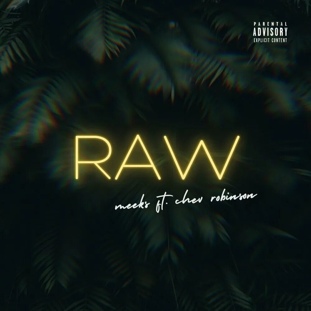 Raw трек. Raw трек. Raw трек. Raw песня. Зоопарк danny hackel.