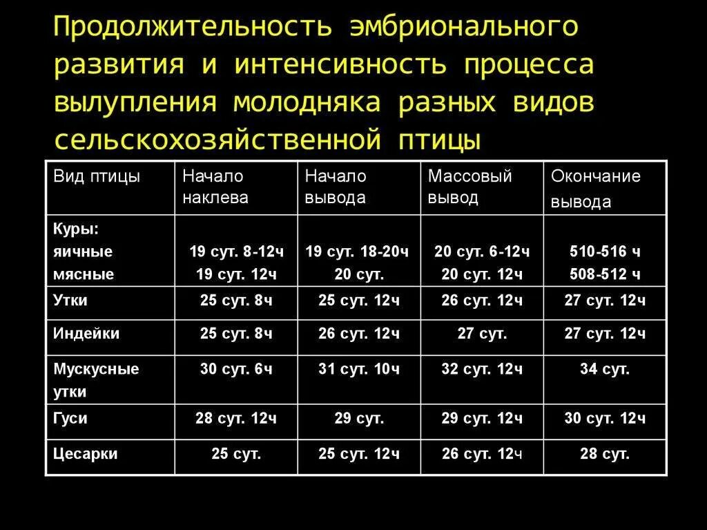 Инкубатор несушка влажность температура. Температурный режим для вывода утиных яиц в инкубаторе. Температурный режим в инкубаторе для куриных яиц таблица. Период инкубации куриных яиц в инкубаторе таблица. Период инкубации утиных яиц в инкубаторе.