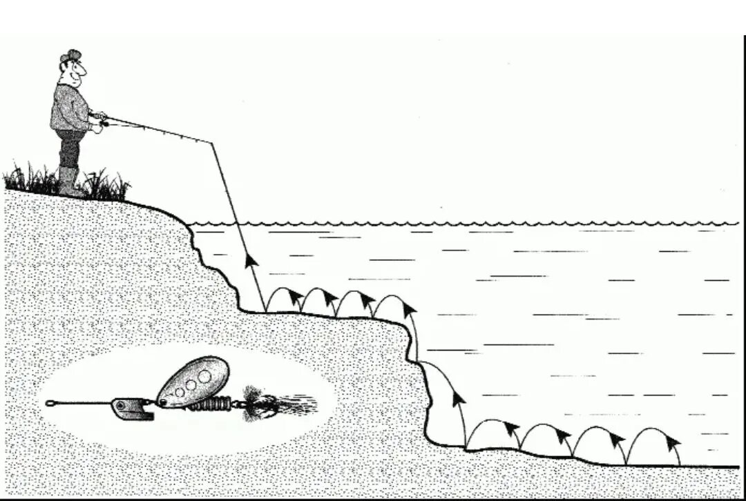 Проводка спиннинга на щуку. Как правильно ловить щуку на блесну. Как правильно ловить блесной на спиннинг. Схема снасти на щуку. Лов на дне