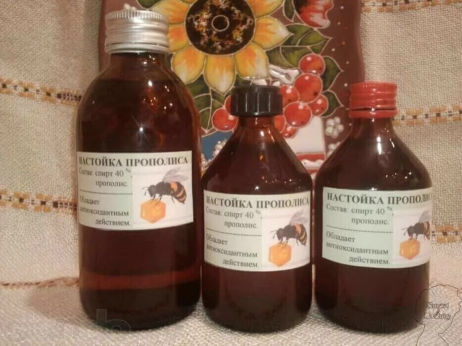 Аптечные настойки на травах. Настойка от миомы на кедровых орешках. Средства народной медицины. Кедровые орехи при миоме. Спиртовая настойка.