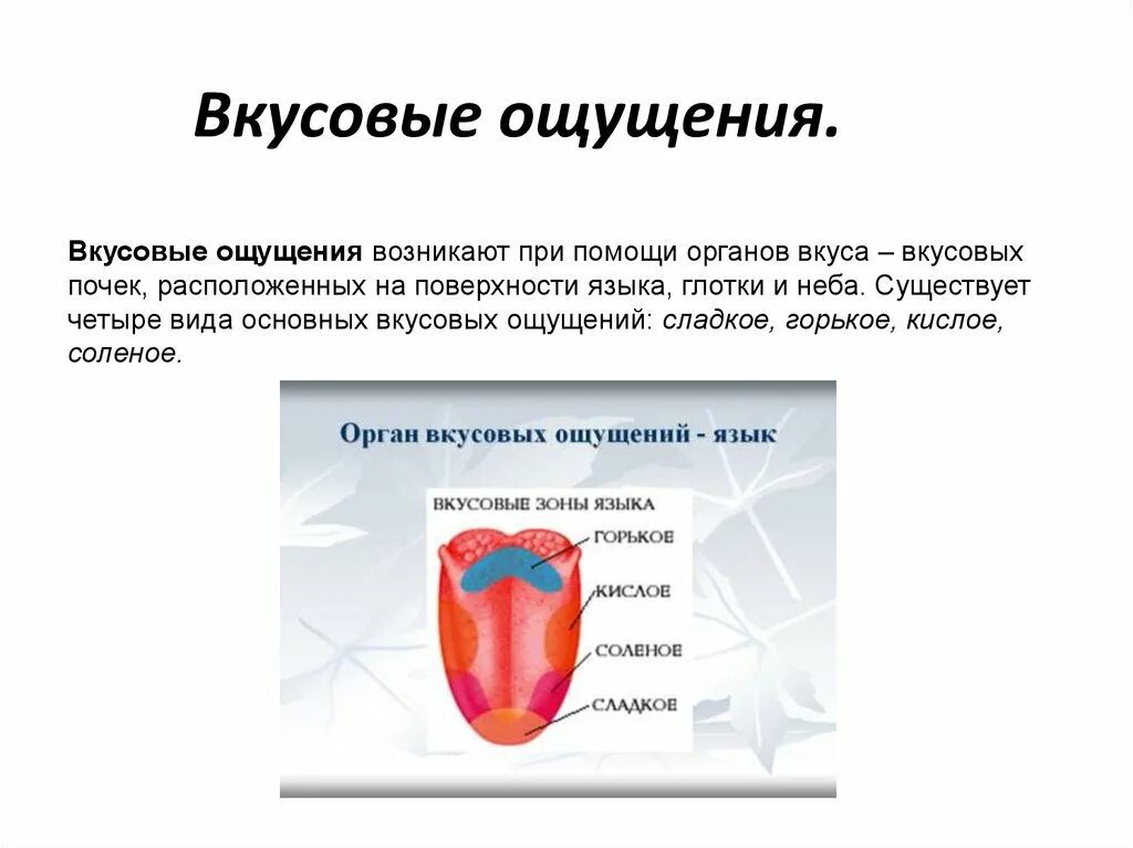 Вкусовой вид информации примеры: найдено 90 изображений