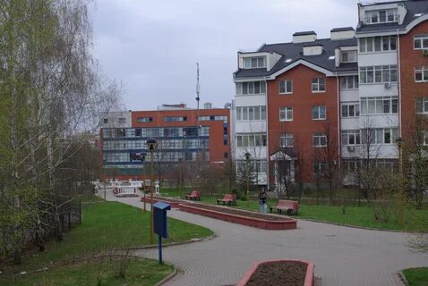 Куркино шаховская