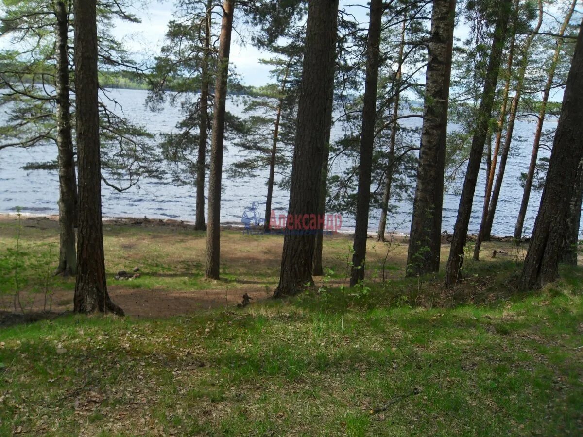 красная долина выборгский р. снт усадьба муталахти. поселок красная долина ло выборгский район достопримечательности. посёлок красная долина выборгского района ленинградск. красная долина выборгский р.