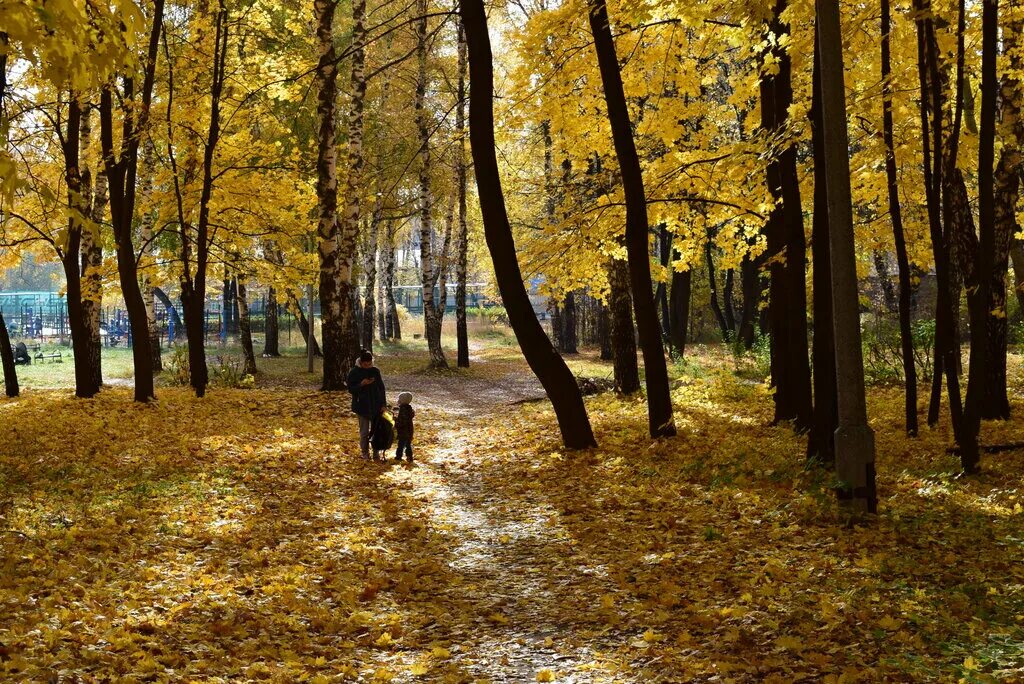 Парка рязань купить. Парк Рюмина роща Рязань. Центральный парк Рязань. ЦПКИО Рюмина роща Рязань. Парк ЦКПО Рязань.