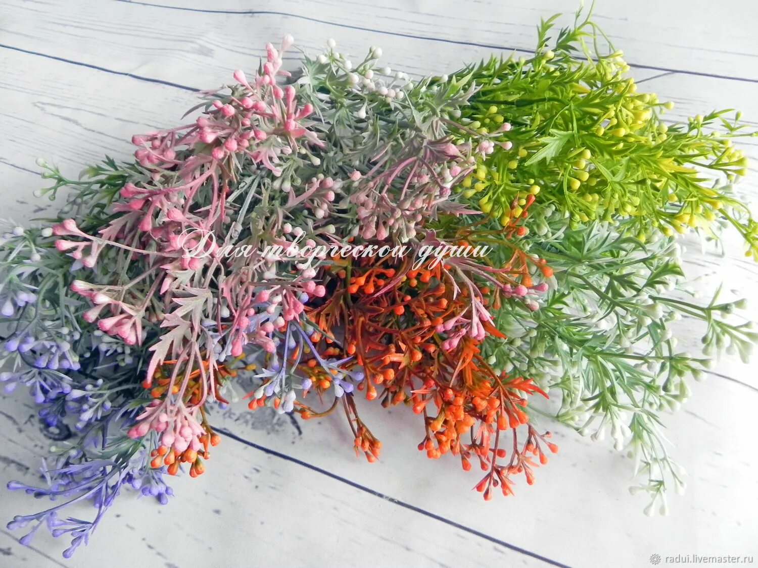 Букет полыни романовская. Полынь – «одолень». Полынь горькая фото. Полынь таврическая. Полынь горькая таврическая.