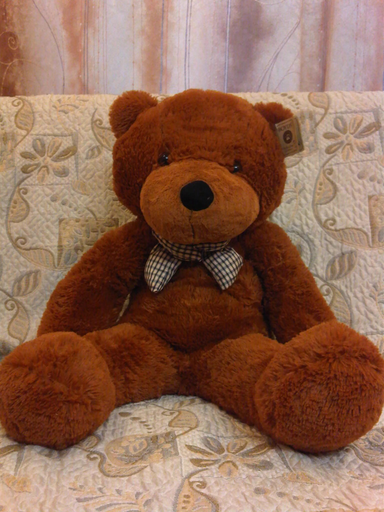 медведь игрушка дома. большой медведь игрушка. мягкие игрушки медведи в комнате. огромные плюшевые игрушки. медведь игрушка дома.