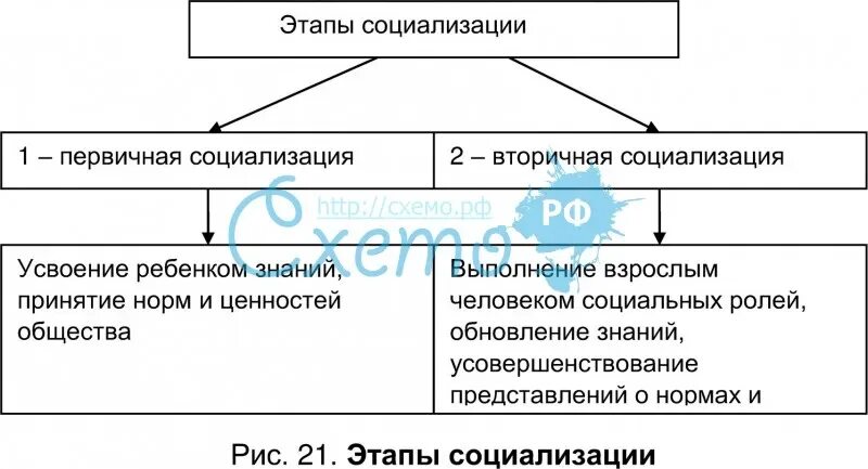 Вторичная социализация функции. Этапы социализации первичная и вторичная. Этапы вторичной социализации. Социализация первичная и вторичная таблица. Первичная стадия социализации.