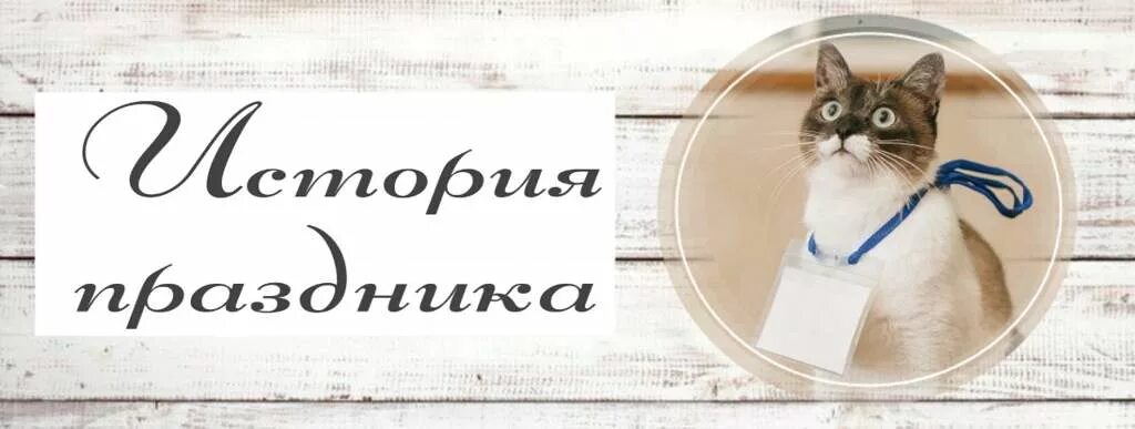 Имя дня кота