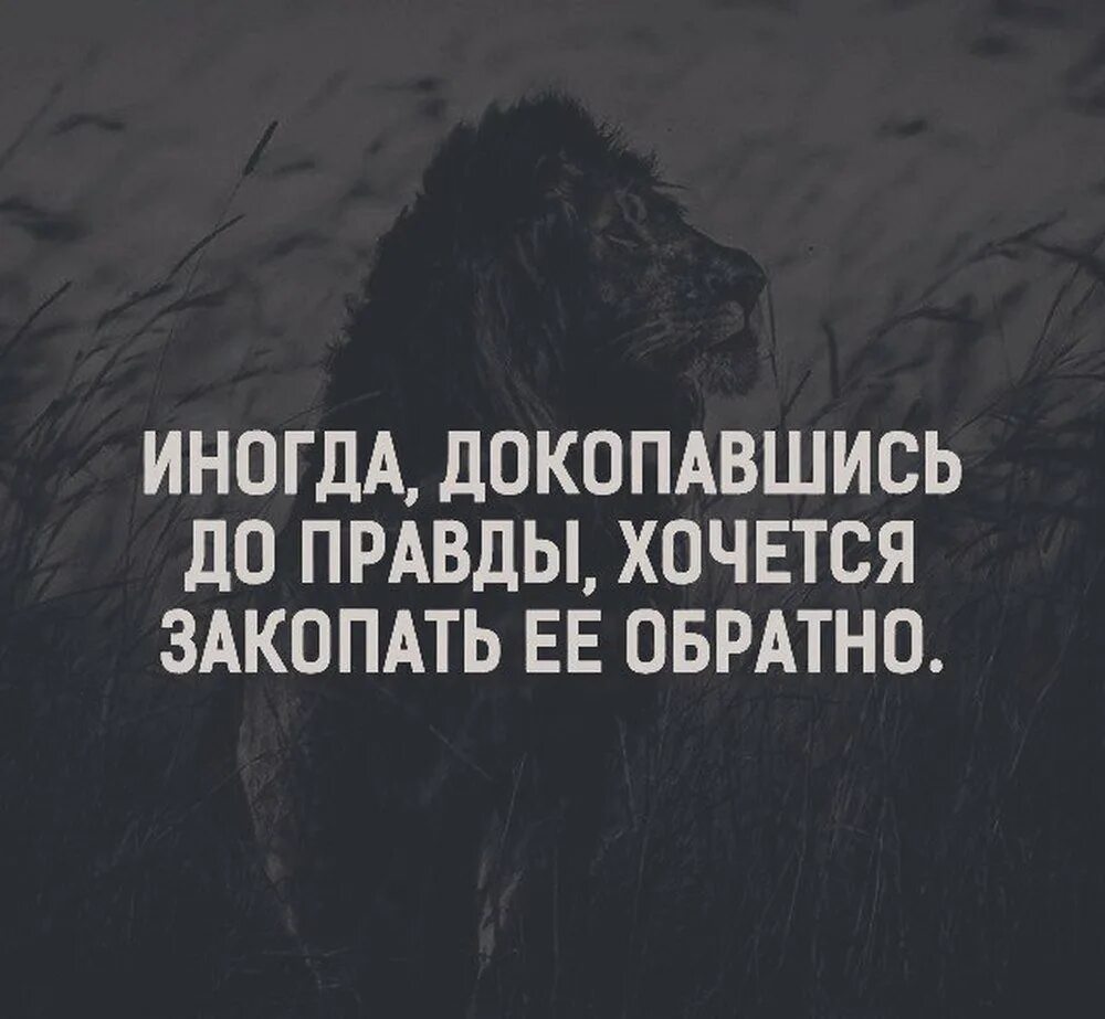 Умные картинки с надписями. Иногда докопавшись до правды хочется закопать. Интересные фразы. Картинки с Цитатами. Жизненные цитаты.