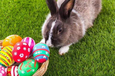 Easter speakerman