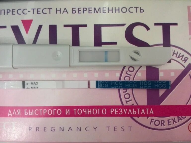 На 6 день покажет тест беременности. Тесты на беременность по дням. Тест на беременность положительный по дням. Evitest на беременность по дням. Тест на беременность эвитест по циклам.