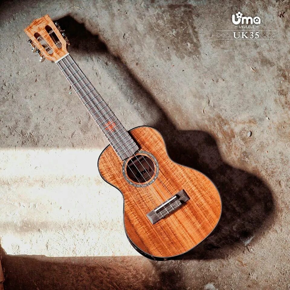 Укулеле концерт. Гитара uma pulse. Веерные лады. Укулеле эстетика. Укулеле ума.