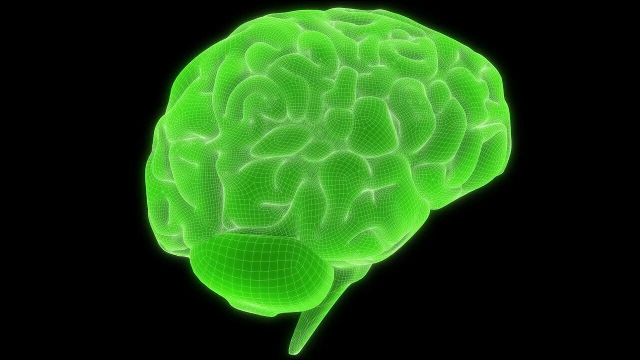 Green brain. Зеленый мозг. Зеленые мозги. Мозг и цветы.