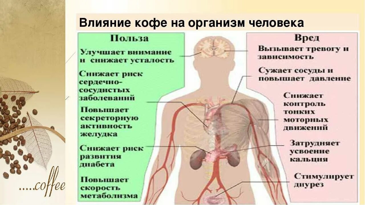 Кофеин зачем. Как влияет кофе на организм человека. Влияние кофеина. Влияние кофеина на организм. Воздействие кофе на организм.