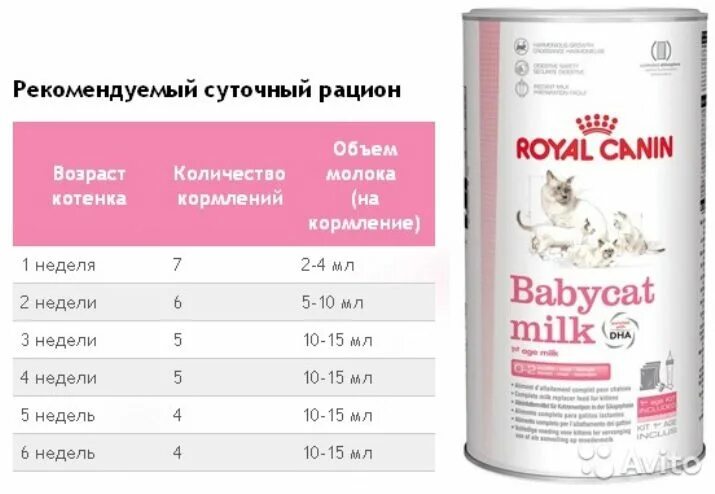 Сколько смеси 3 недели. Роял Канин для новорожденных котят. Royal Canin смесь для новорожденных котят. Смесь для выкармливания котят Роял Канин. Схема кормления котят смесью.