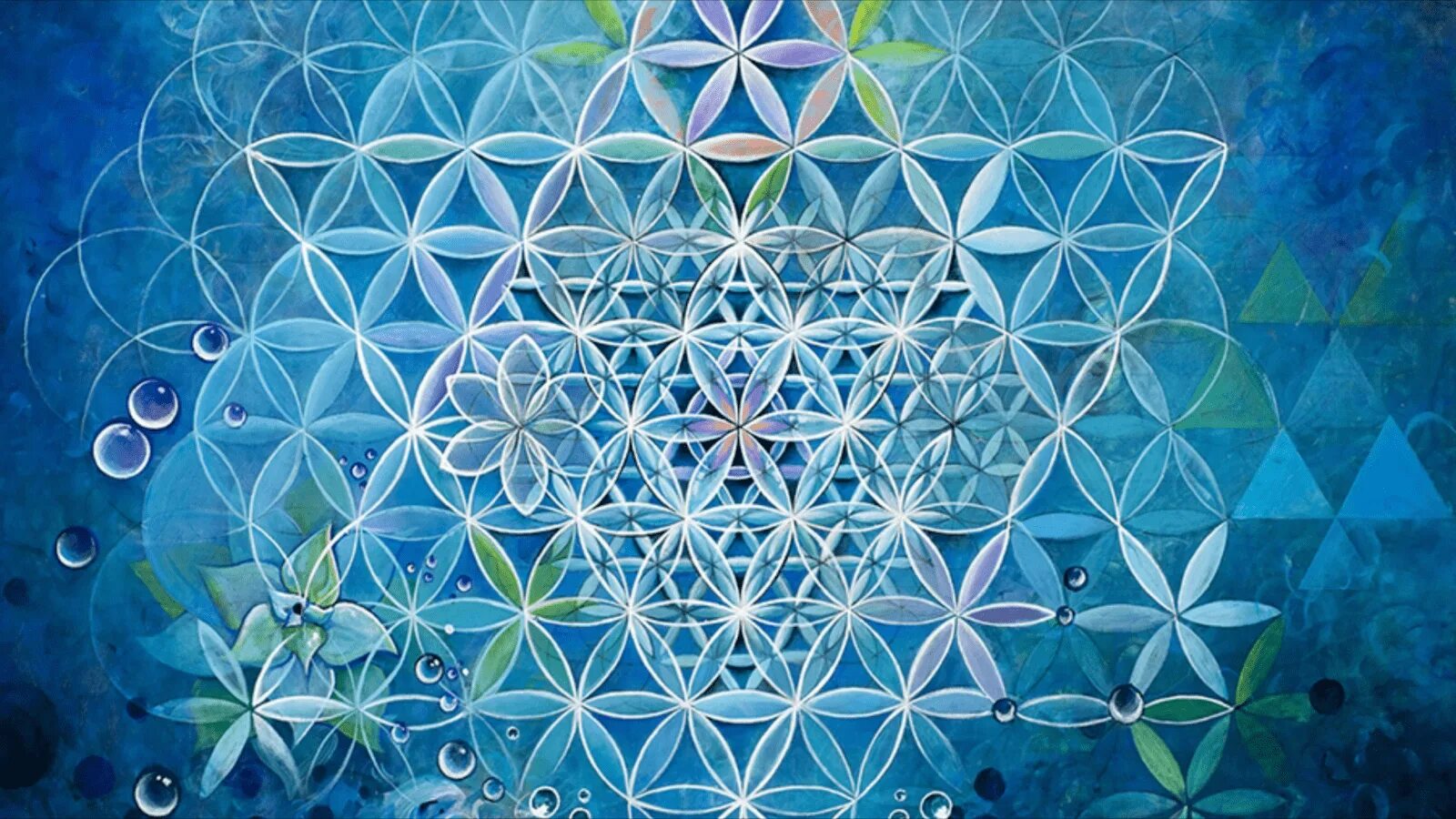 Паттерны жизни