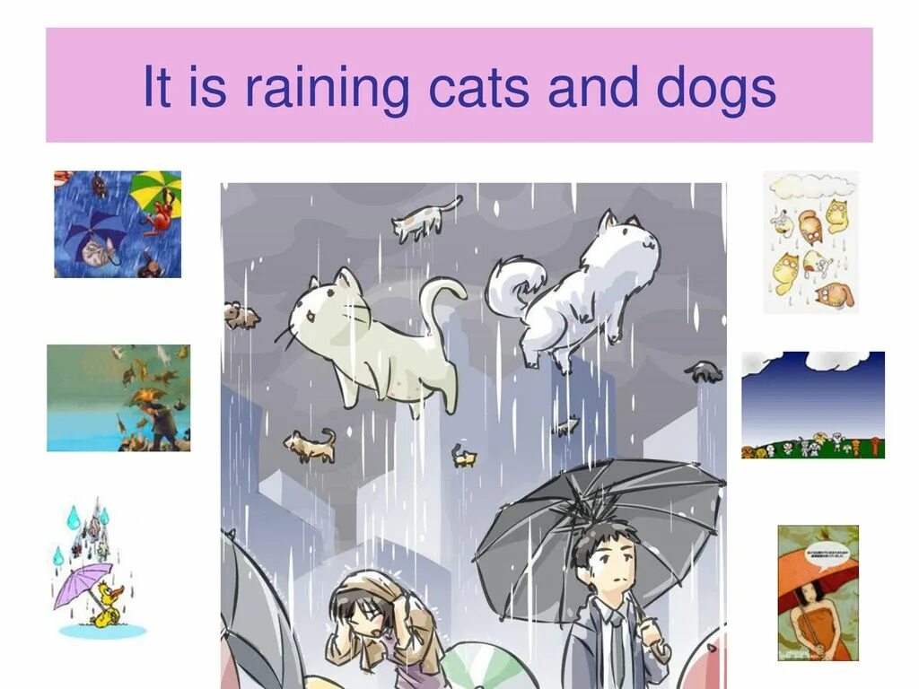 It s raining cats. Идиомы it's raining Cats and Dogs. Rain Cats and Dogs идиомы. Raining Cats and Dogs идиома. It s raining Cats and Dogs перевод.