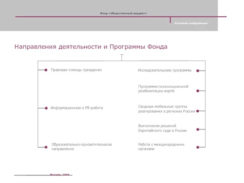 Общественные фонды России. Общественный фонд примеры в РФ. Примеры общественных фондов. Направления деятельности общественного фонда.