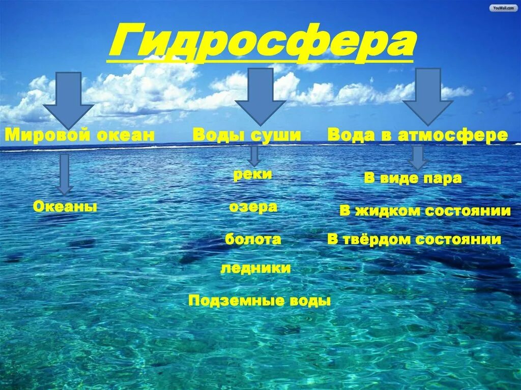 Причины воды в океане