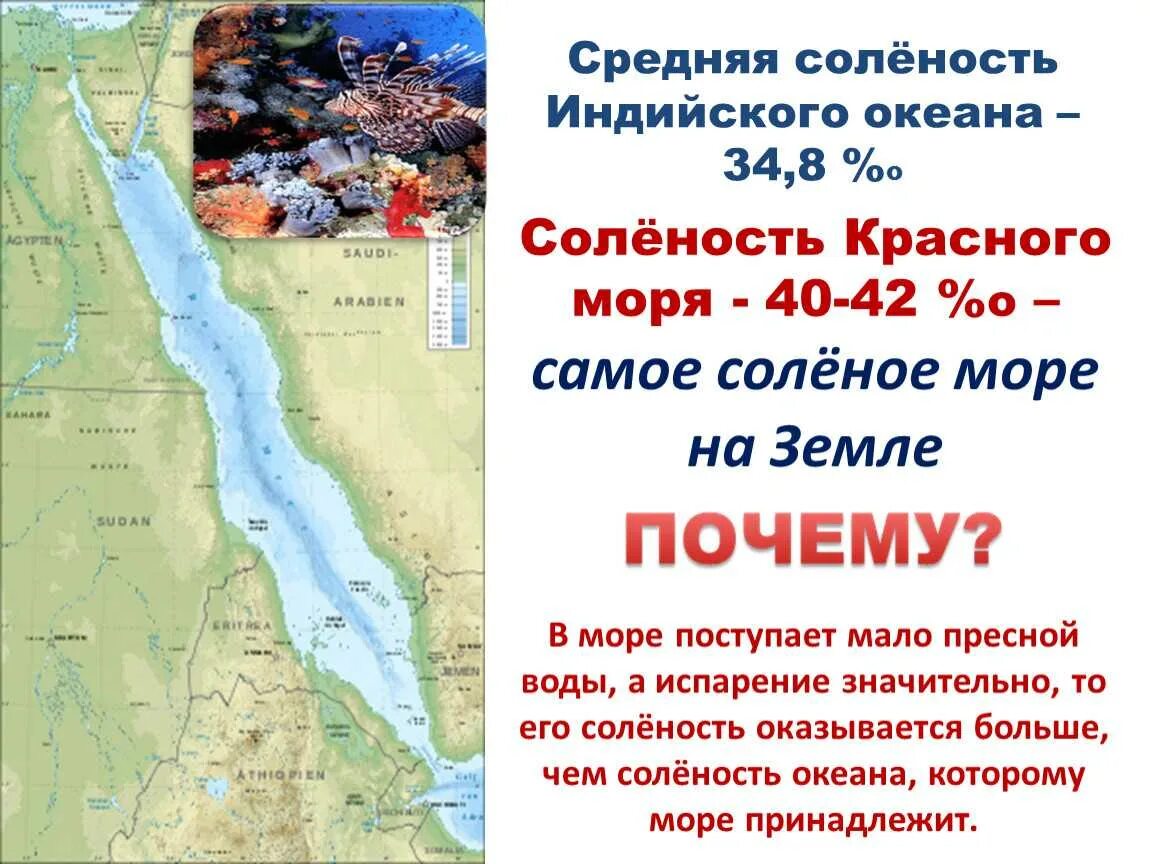 Море какого океана самое соленое. Красное море самое соленое. Красное море самое соленое море. Самое соленое море. Красное море самое соленоесоленое.