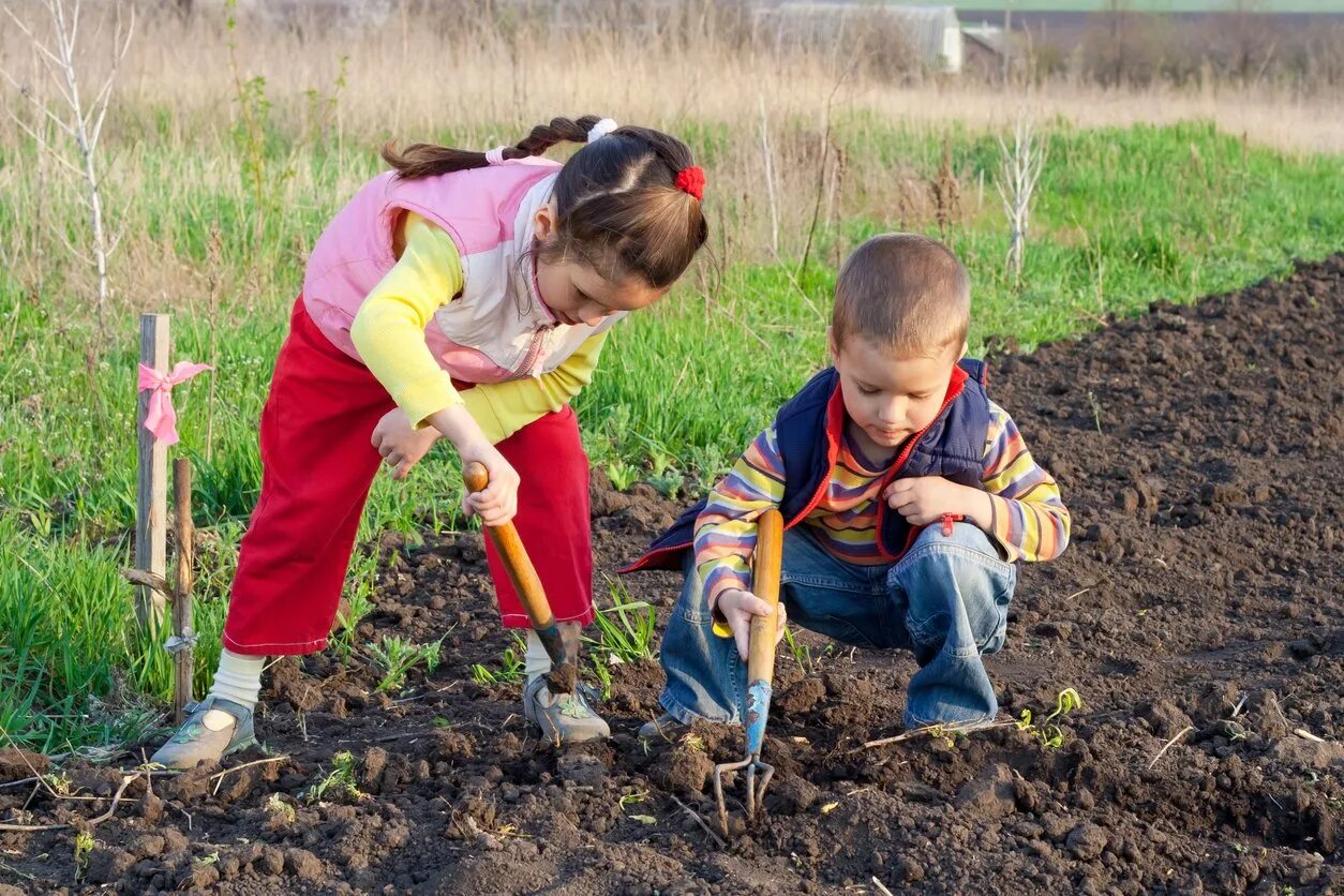 Весенний труд. Труд в огороде. Весенние работы в саду для детей. Грядка для детей. Огород для детей.
