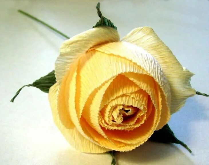 Розы из гофробумаги. Цветы из гофрированной бумаги. Розы из гофрированной бумаги. Розочки из гофробумаги. Гофрированные розочки