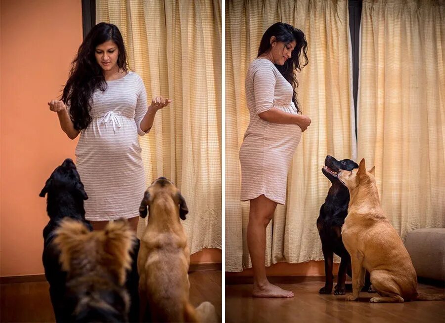 Woman impregnated. Собаки и беременные женщины.