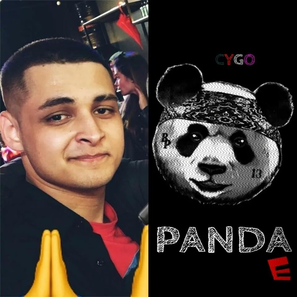 Panda e cygo текст. Cygo panda e фото. Песни сука панда. Панда репер. Панда и гепард.