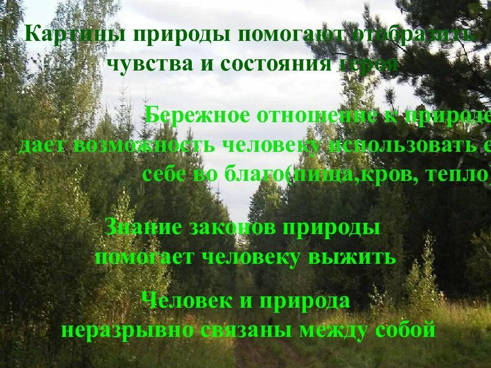 Васюткино озеро ответы на вопросы кратко. 5 Класс литература в Астафьев Васюткино озеро. 5 Вопросов по произведению Васюткино озеро. Васюткино озеро 5 вопросов. Астафьев Васюткино озеро презентация.