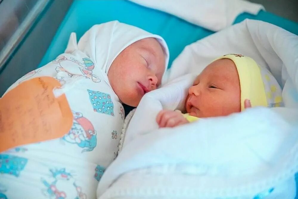 Родились двойняшки. Рождение двойняшек выплаты. Вес близнецов при рождении. Вес двойни при рождении.