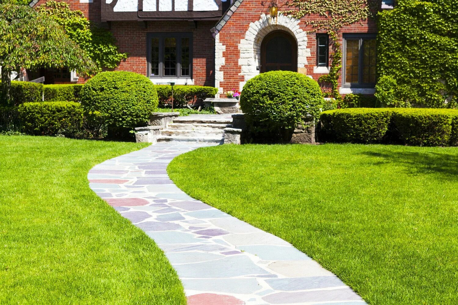 шиши одоши. топиарное искусство туя смарагд. туя даника изгородь. ландшафт сад двор пергола. хелен парк+ ландшафт.