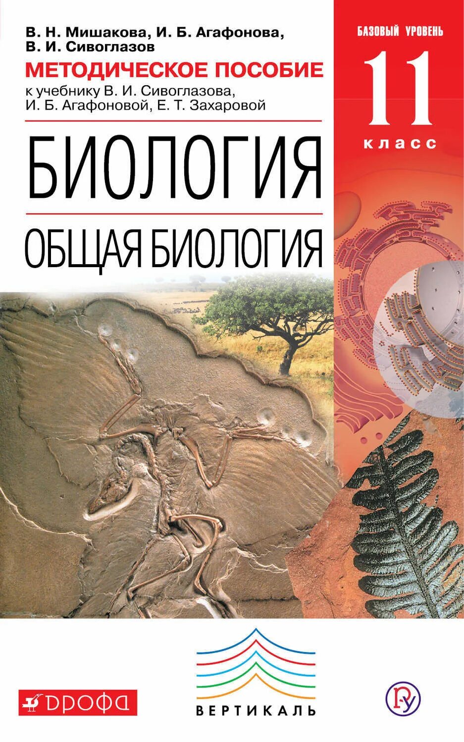 Учебник биологии 11 класс сивоглазов агафонова. Биология 11 кл. Сивоглазов, ага. Общая биология 10-11 в.и Сивоглазова и.б Агафонова\. Биология. 11 Класс общая биология Сивоглазов,Агафонова,Захарова. Учебник биологии 11 класс Сивоглазов Агафонова Захарова базовый.