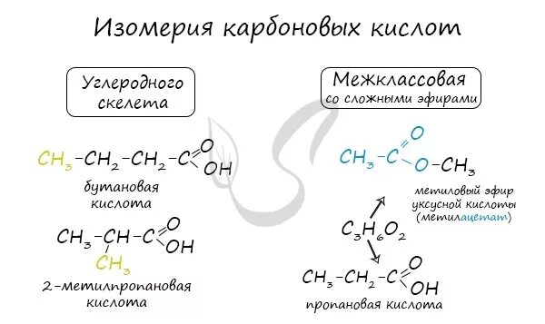 Строение и изомерия карбоновых кислот. Виды изомерии предельных кислот. Изомерия карбоновых кислот. Изомерия углеродного скелета карбоновых кислот. Виды изомерии предельных кислот.