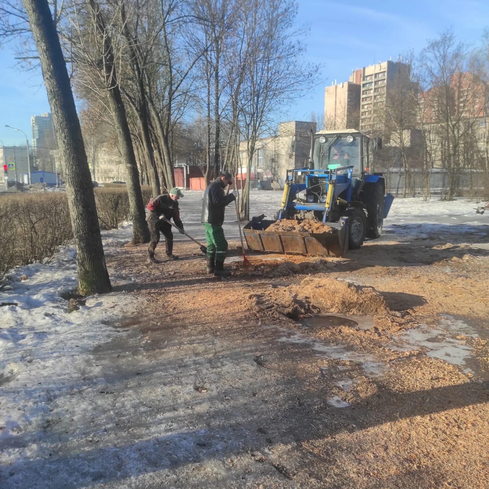 Новости на 21 час. Зеленые насаждение в Невском районе. Зеленые насаждения в городе. События в Невском районе СПБ вчера. Санкт-Петербург весной.