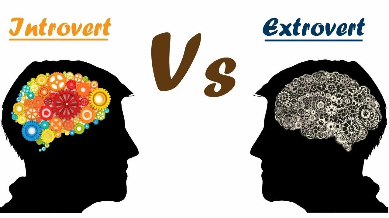 Extravert qualities are regarded highly in