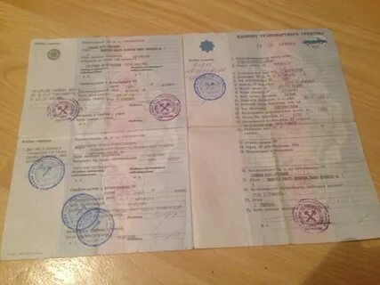 24 птс