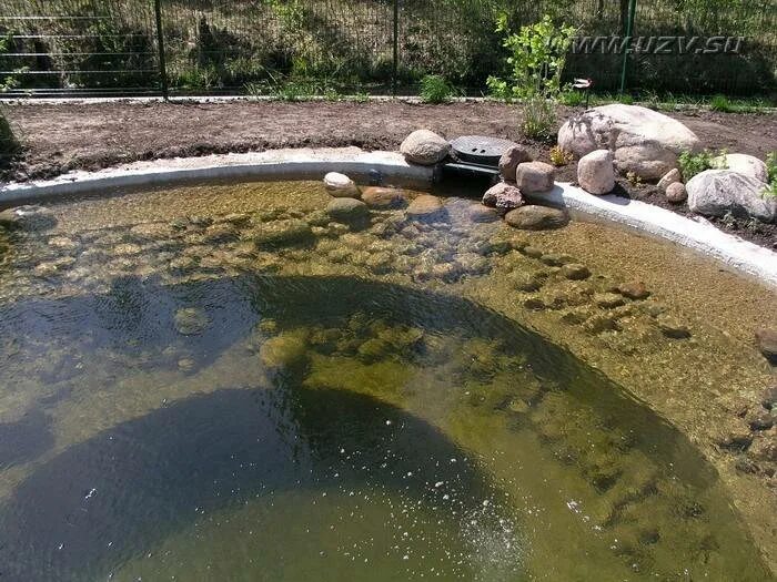 Пруд для рыбы на участке своими руками. Водоем с рыбой на участке. Искусственное озеро. Маленький пруд на участке. Рыбы для пруда на даче.