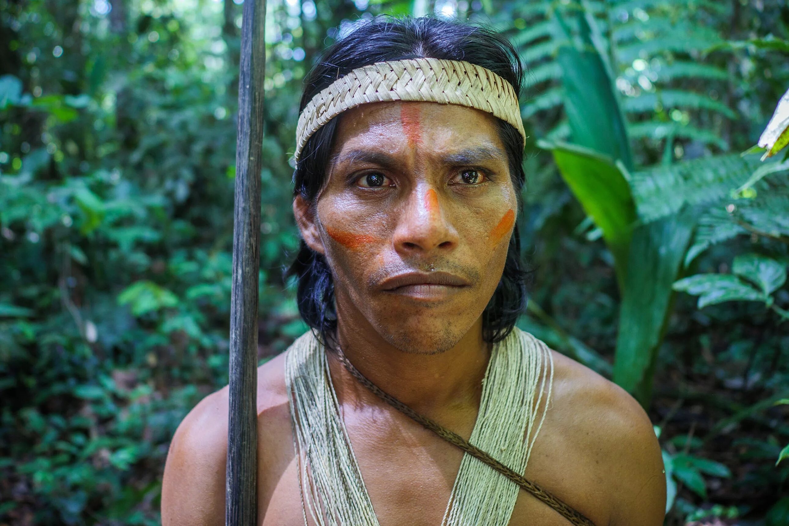 Племя. Индейцы ваорани Эквадор. Эквадор ваорани племя ваорани. Племя ваорани Амазонка.
