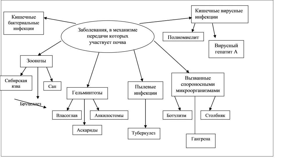 Заболевания вызванные почвой. Возбудители инфекционных заболеваний схема. Инфекционные заболевания и гельминтозы, передающиеся через почву.. Классификация инфекционных болезней схема. Заболевания в механизме которых участвует почва.