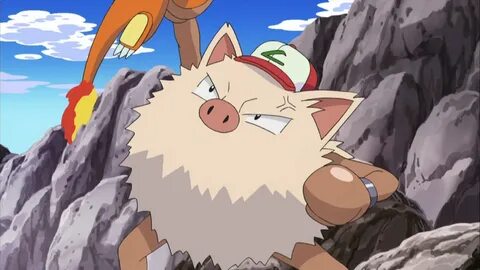 Ash primeape