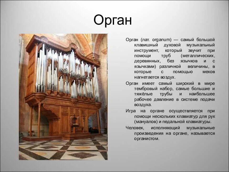 Сообщение об органе музыкальном инструменте. Доклад про орган. доклад про орган музыкальный инструмент. сообщение о органе музыкальном инструменте кратко.