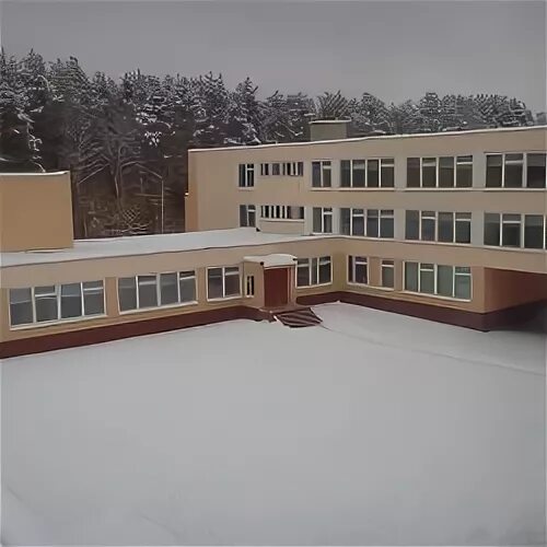 Школа 60 Брянск. Школа 61 Брянск.