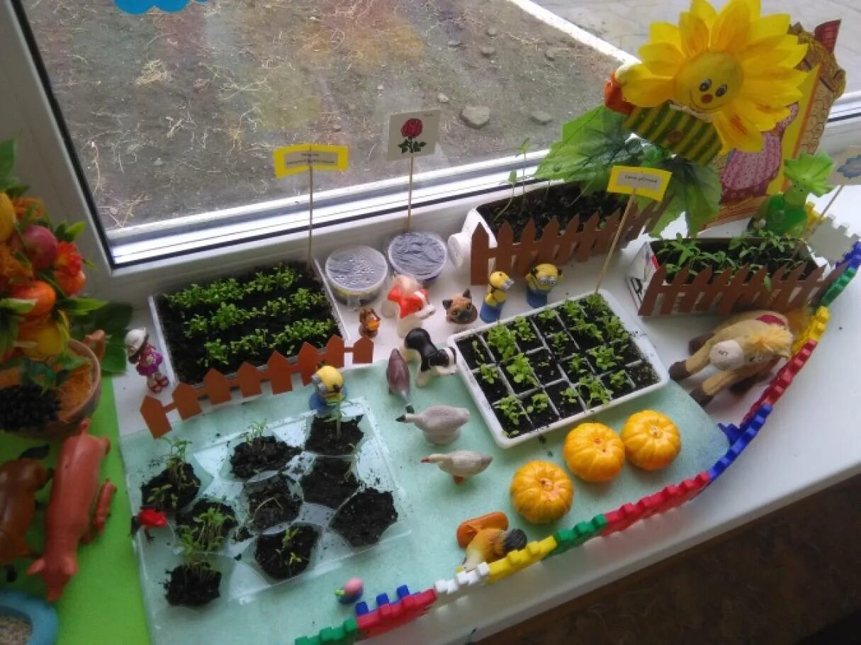 Тема сад огород в подготовительной группе. Огород на окне. Огород на окне в детском саду. Огород на подоконнике украшения. Тема огород в детском саду.